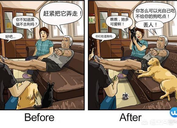 昨晚太想要了就和我家泰迪漫画:养狗前和养狗后相比，生活最大的变化是什么？