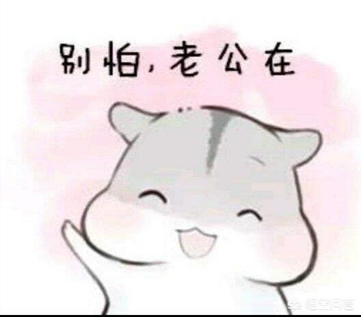 平淡夫妻过日子,对方一句什么话最能感动你？会让你选择不离不弃？