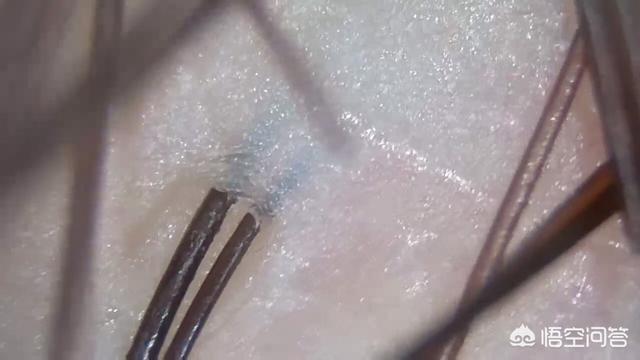 无硅油洗发水真的好用吗？哪个品牌的好？