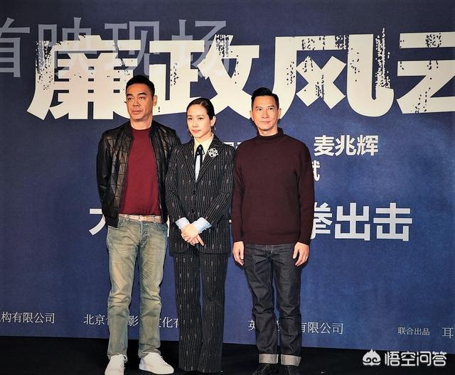 林嘉欣:林嘉欣是谁？为何能担当贺岁档《廉政风云》的女主角？