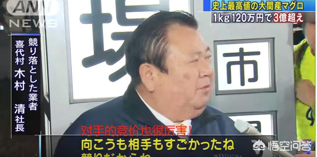 黑鳍蛇鲭是海狼嘛:皇帝岛潜水是种什么体验？