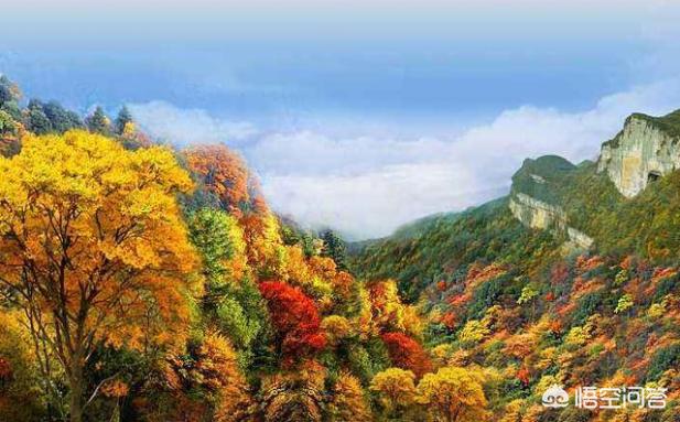 重庆十大景点排行榜,您知道的重庆十大旅游区是哪些？
