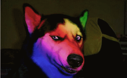 你认为娱乐圈最有魅力的女星是谁