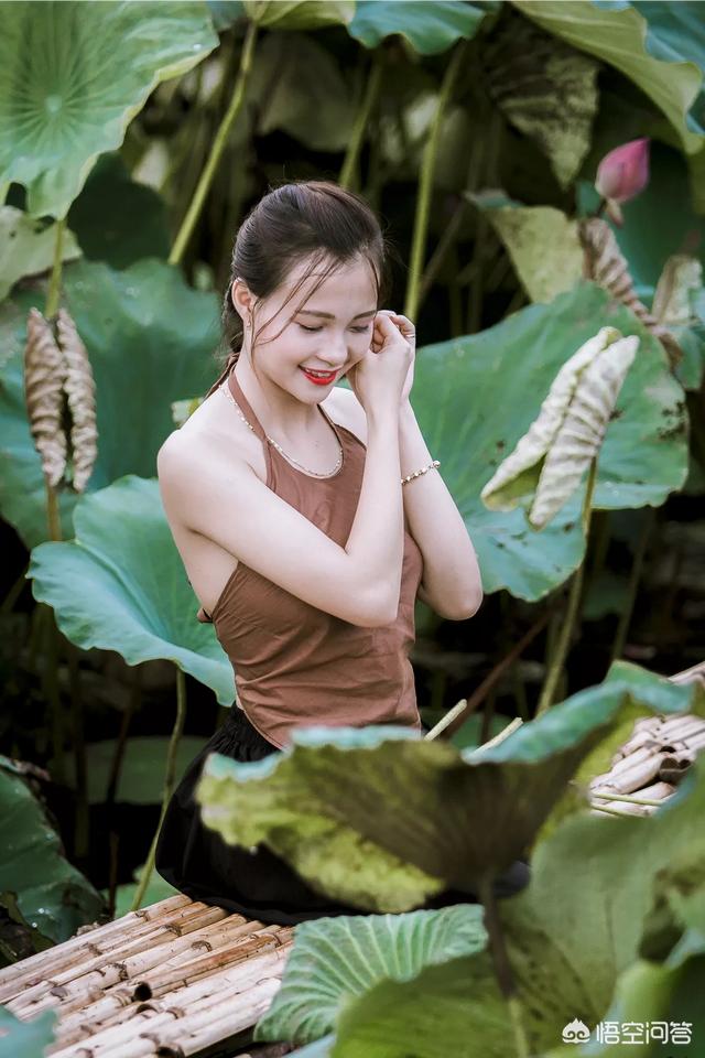 如何将短视频设置为手机壁纸(如何把视频作为手机壁纸)
