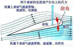 军舰鸟的特点:俄罗斯升级的1155型“无畏”级大型反潜舰有何特点？ 军舰鸟的特点是什么