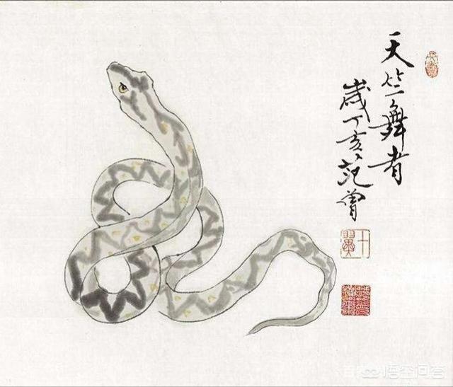 水蚺蛇图片:擅长国画的画家有专门画蛇的吗？你见过画蛇的国画作品吗？