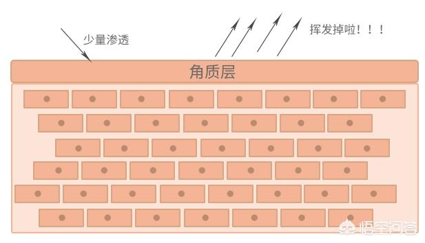 田永成隆鼻:皮肤长斑与肌肤缺水有关吗