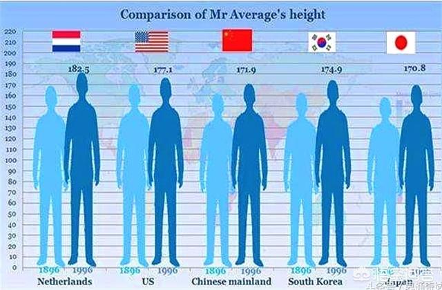 楼主 亚洲黄狐狸:请问一个迈腾一个亚洲龙，该怎么选？