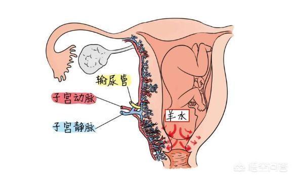 羊水栓塞只会发生在高龄产妇身上吗？