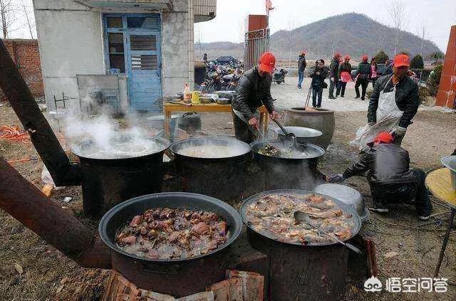 华丽巨蚊现身广西:农村有一个现象，红事不帮忙，白事多远都回去，这是为什么？