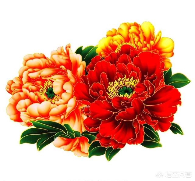 你觉得中国的国花是什么？为什么？