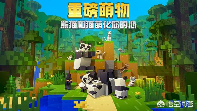 网易版本《我的世界》更新了熊猫,熊猫都成了“病猫”这是怎么回事？