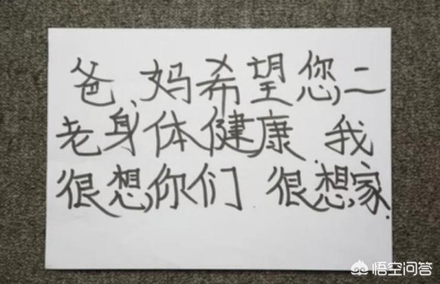 春节不回家:春节不回家是什么体验为什么不回家