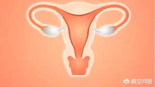 女人如何保养卵巢?如何保养子宫卵巢最好方法