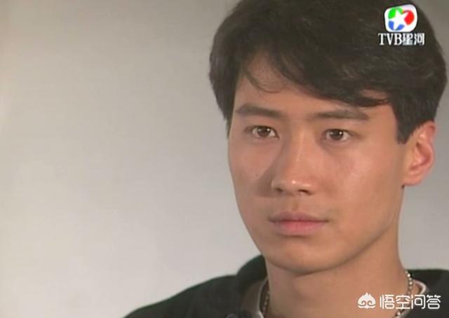 王力宏与舒淇:两位男神，你觉得王力宏与黎明相比谁长得更帅？