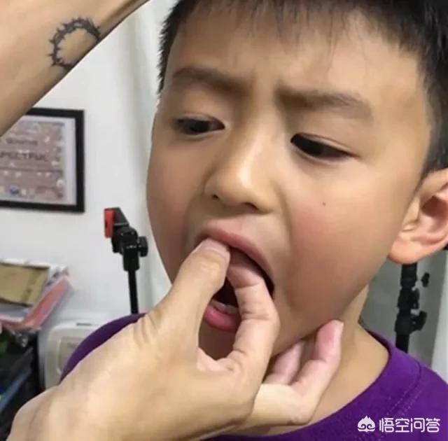 王菲张柏芝:如果你是谢霆锋，你选择王菲还是张柏芝