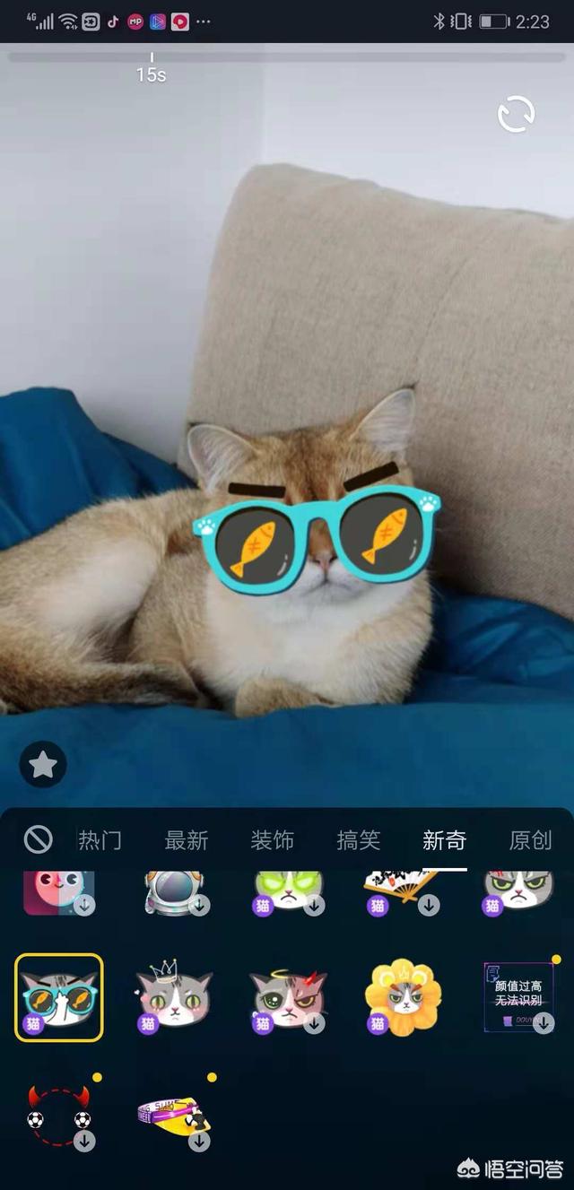 可爱猫咪视频:拍摄猫咪的视频，想要添加一些可爱的表情，有哪些视频软件推荐？