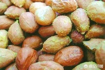 风来客海藻味洁齿骨的特点:白色狗狗成长过程中毛发变黄了是怎么回事？怎么办？
