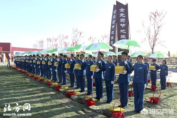 骨灰安放:现在推行火葬、海葬、深葬(骨灰)，深葬要怎样做，有什么限制