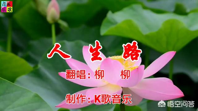 翻唱秒杀原唱的“原唱杀手”你觉得谁最够格？