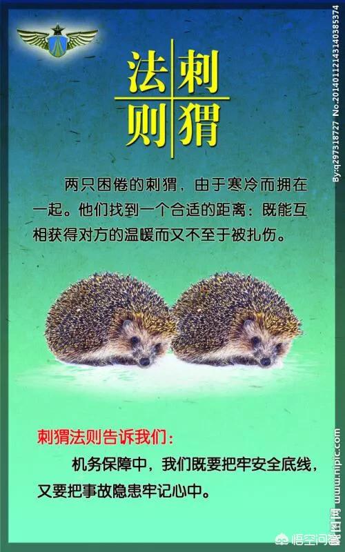 小刺猬的生活习性有哪些:“刺猬法则”可以运用在什么话题的作文里？