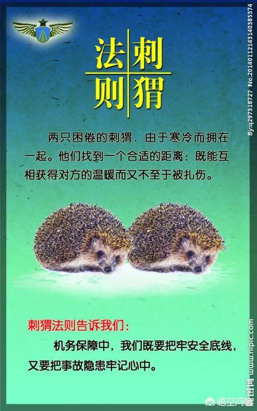 刺猬效应是什么意思，“刺猬法则”可以运用在什么话题的作文里