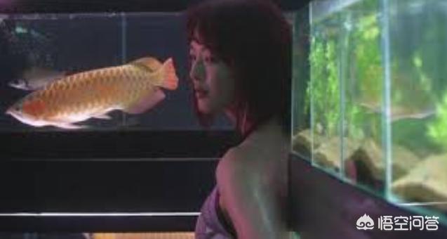 如何看待《冰冷熱帶魚》這部電影？
