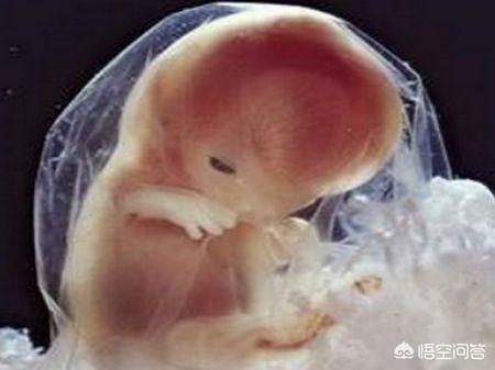 怀孕3个月胎儿成形了吗，小孩子在肚子里3个月是什么样