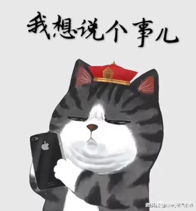 人们常常说别耍小聪明,小聪明到底指什么？耍小聪明有什么不妥？