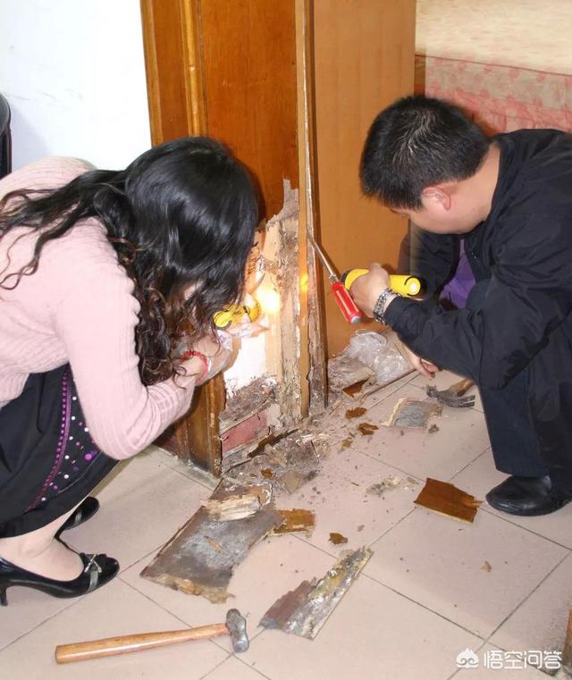 家白蚁,房子里有白蚁是怎么回事？