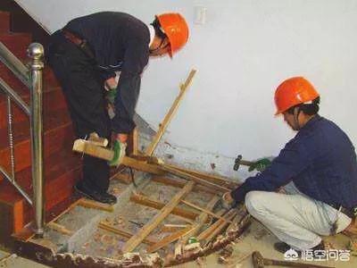 家白蚁,房子里有白蚁是怎么回事？