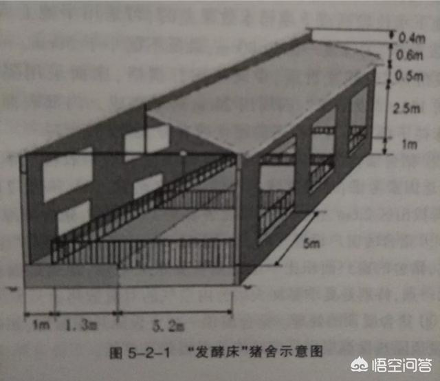 酵素菌发酵猪粪技术:猪粪用什么发酵菌发酵速度最快？ 酵素菌发酵鸡粪的制作方法