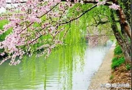 金玉良缘歌词:贾府“金玉良缘”派最终战胜“木石前盟”派的根本原因是什么？