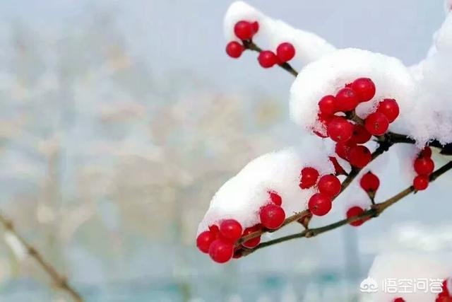 筐蛇尾值钱吗:人这一辈子，什么最值钱？