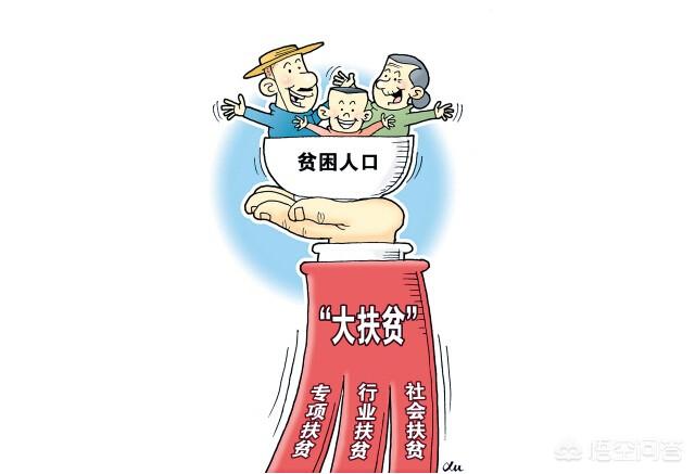 一条月入九万的狗:备背着百亿负债，贾跃亭每个月收入9万美元，你怎么看？