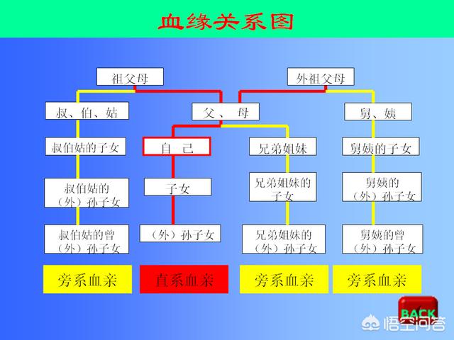 历史上有没有哪个朝代的最后一个皇帝和开国皇帝是没有血缘关系的？