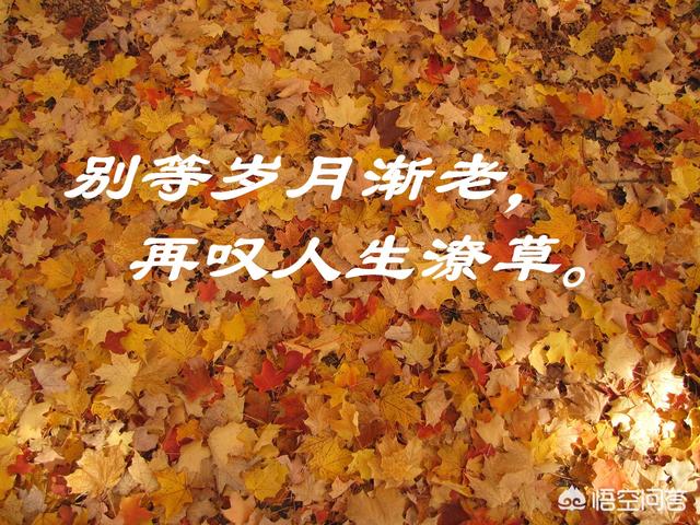 关于阳光心态的句子:心态决定命运，如何拥有阳光心态？