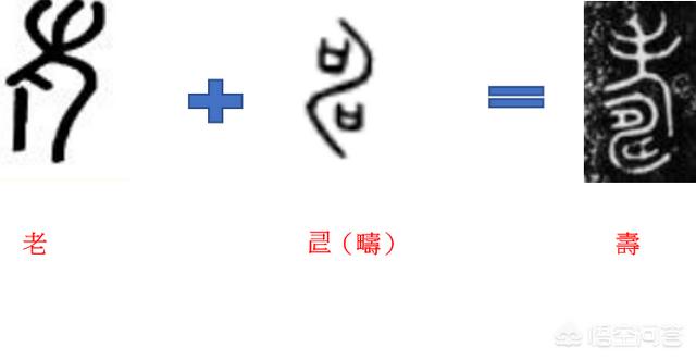 申素毓:「寿」字的小篆写法，为什么下面看起来像是有个甲骨文的申字？