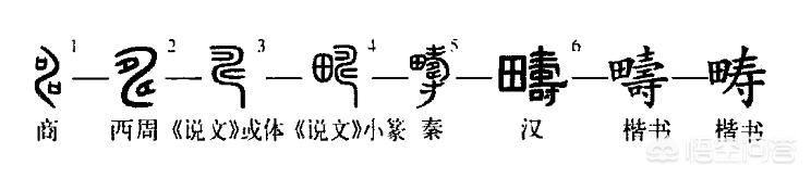 申素毓:「寿」字的小篆写法，为什么下面看起来像是有个甲骨文的申字？