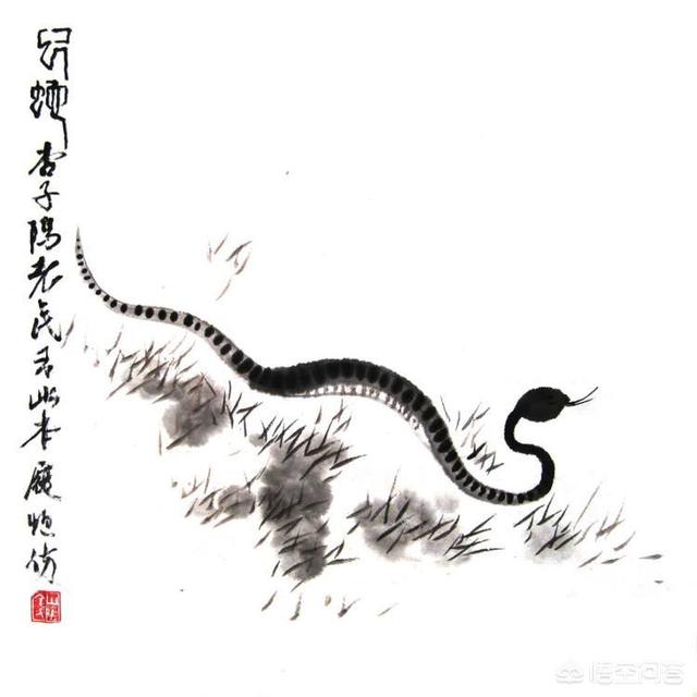 水蚺蛇图片:擅长国画的画家有专门画蛇的吗？你见过画蛇的国画作品吗？