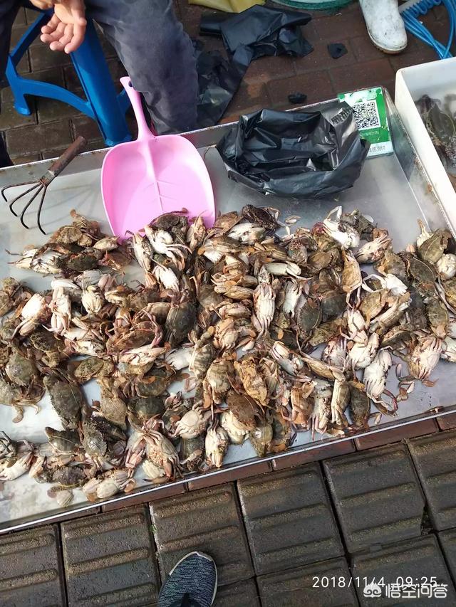 你觉得哪些食材做法简单却很好吃?