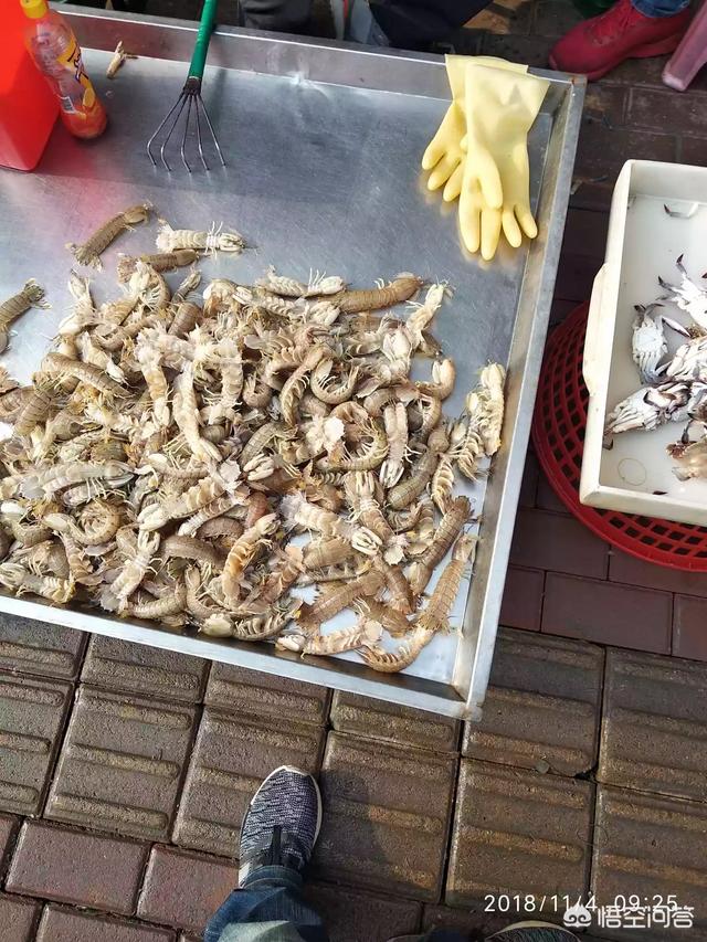 你觉得哪些食材做法简单却很好吃?