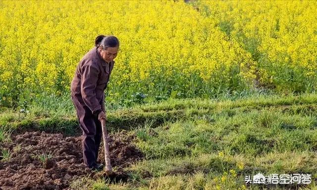 打架怎样劝架的词语:邻居家爆发激烈内战，应该主动劝架还是袖手旁观？