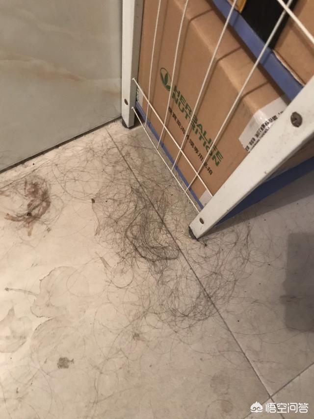 深圳庙街灵异事件:和另一半睡觉时最哭笑不得的事情是什么？