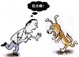 校园养宠物的利弊:校园内是否可以养“宠物”？你怎么看？