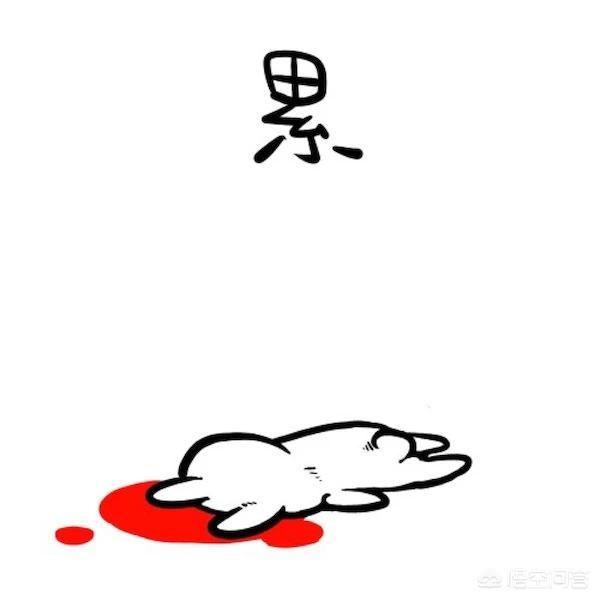 你就是生活的强者经验累积,战胜苦累无谓的苦涩已付诸东流我们不该