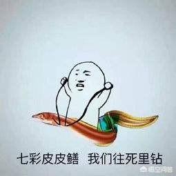 鳝鱼门:黄鳝身上有蚂蝗该怎么治？