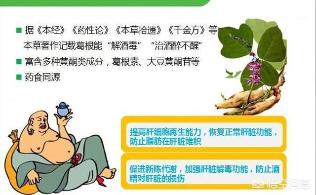 葛花解酒(葛花解酒茶)