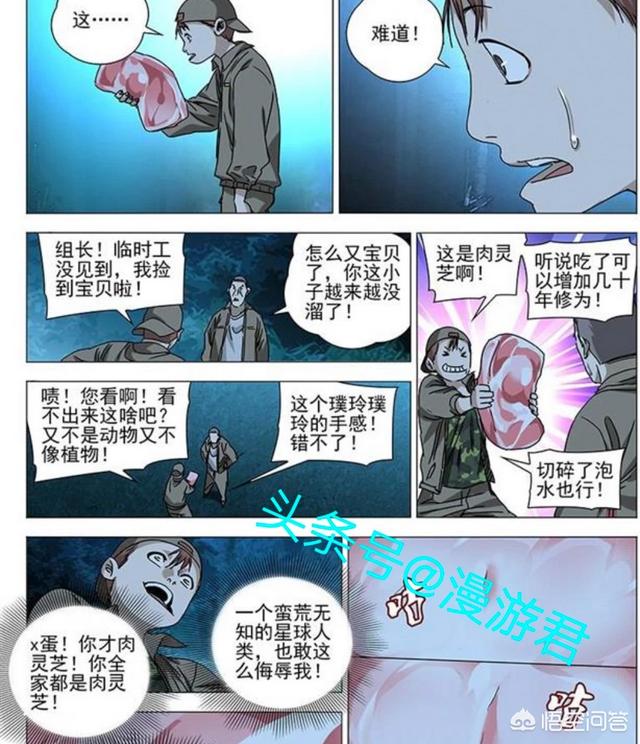 熊猫手札 漫画下载:动漫中普遍包含哪些中国元素呢？ 熊猫手札漫画免费在线阅读