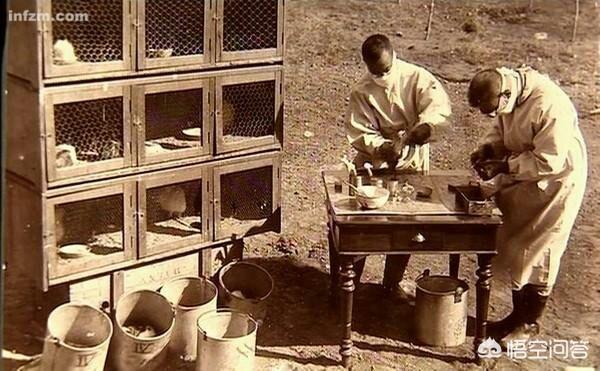 1910年肺鼠疫:中国历史上为何没有出现过中世纪欧洲那样严重的黑死病？